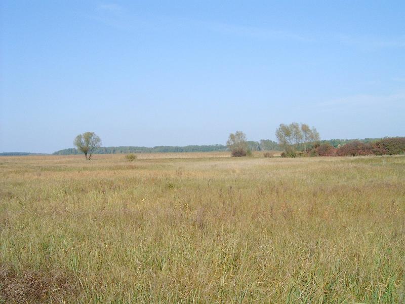 2010.10.09. 100.jpg
